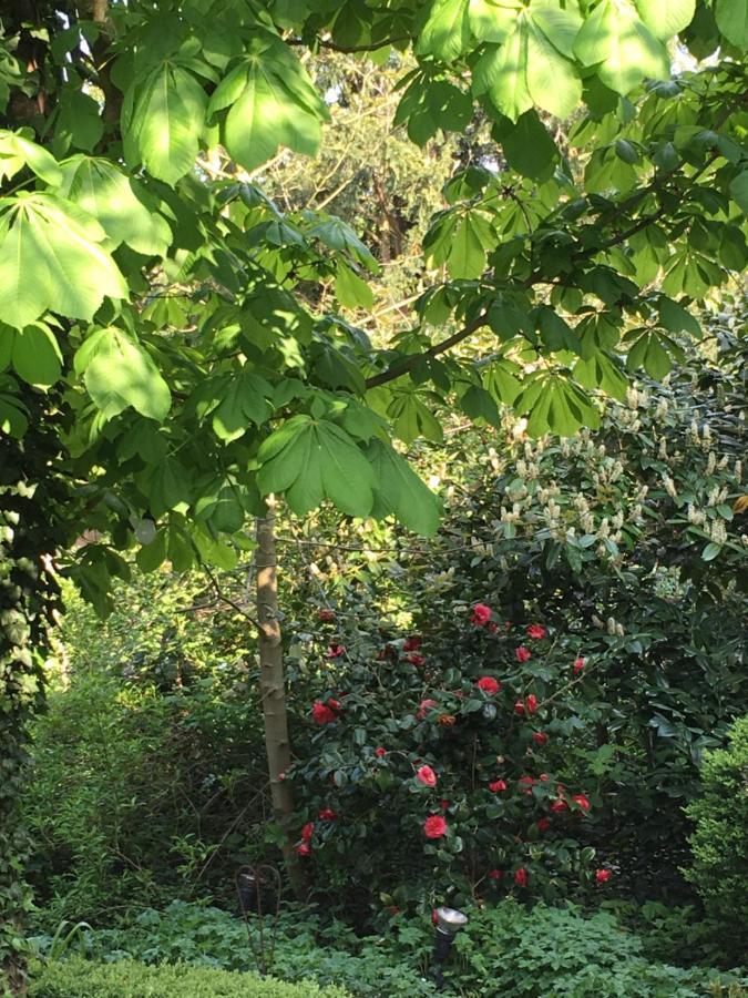 Saarlouis Innenstadt Im Gruenen Exteriér fotografie